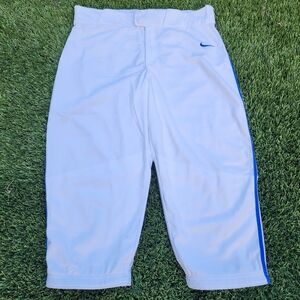 Nike Mens Large Baseball Pants White Blue Athletic Pants Striped BQ9021-108 $45